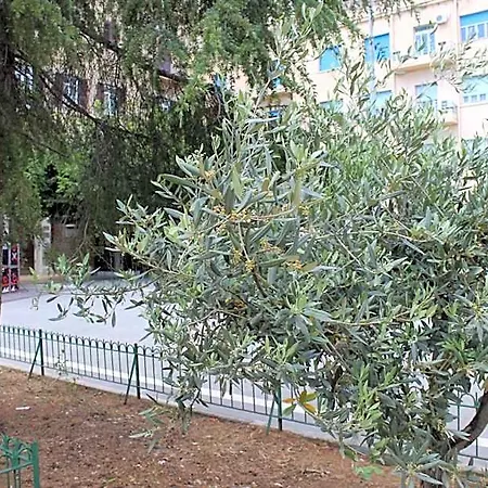 호텔 Del Viale 3*